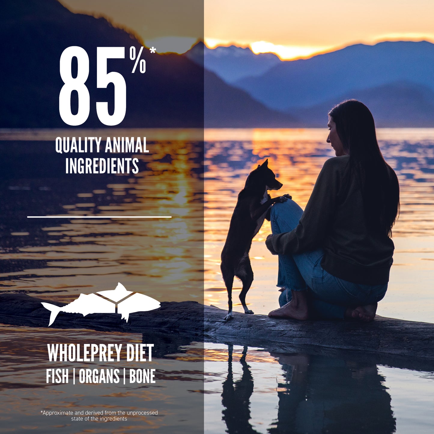 ORIJEN Small Breed Marine Fish Dry Dog Food (2 Sizes)