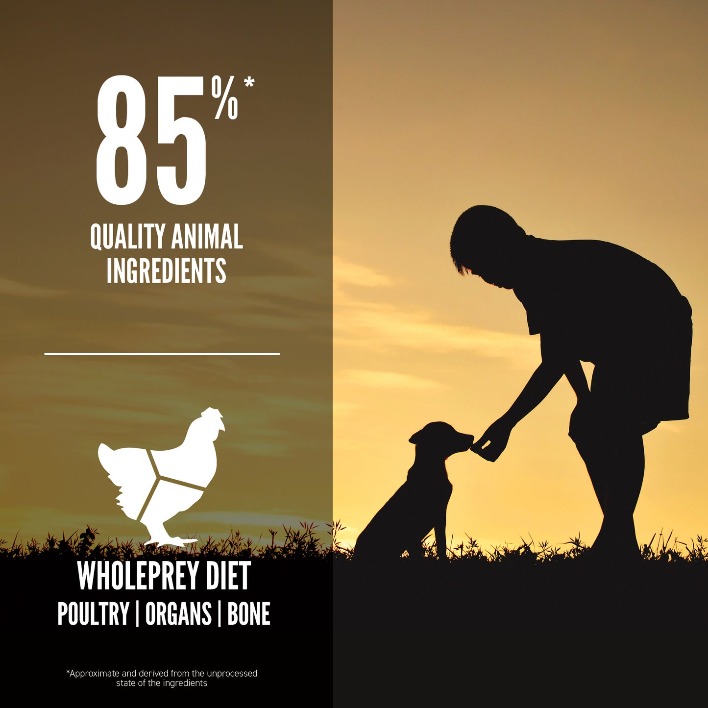 ORIJEN Small Breed Puppy Dry Dog Food (2 Sizes)