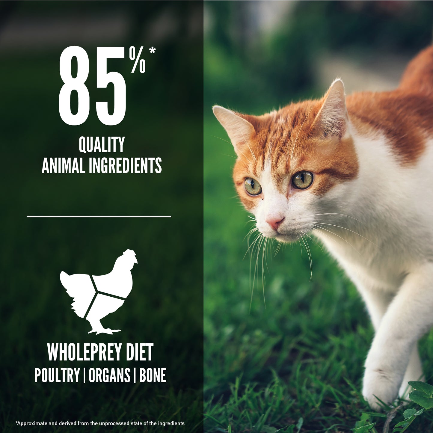 ORIJEN Fit & Trim Dry Cat Food (2 Sizes)