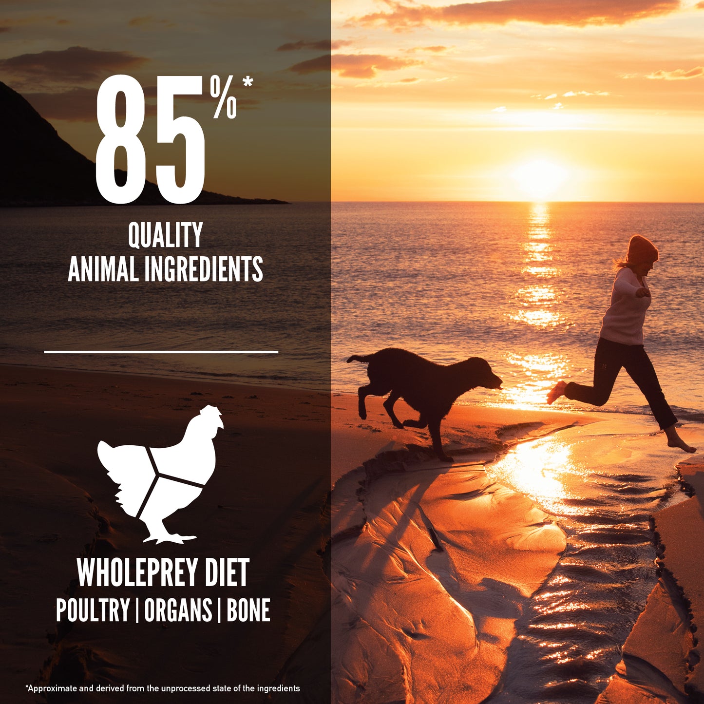 ORIJEN Fit & Trim Dry Dog Food 2kg