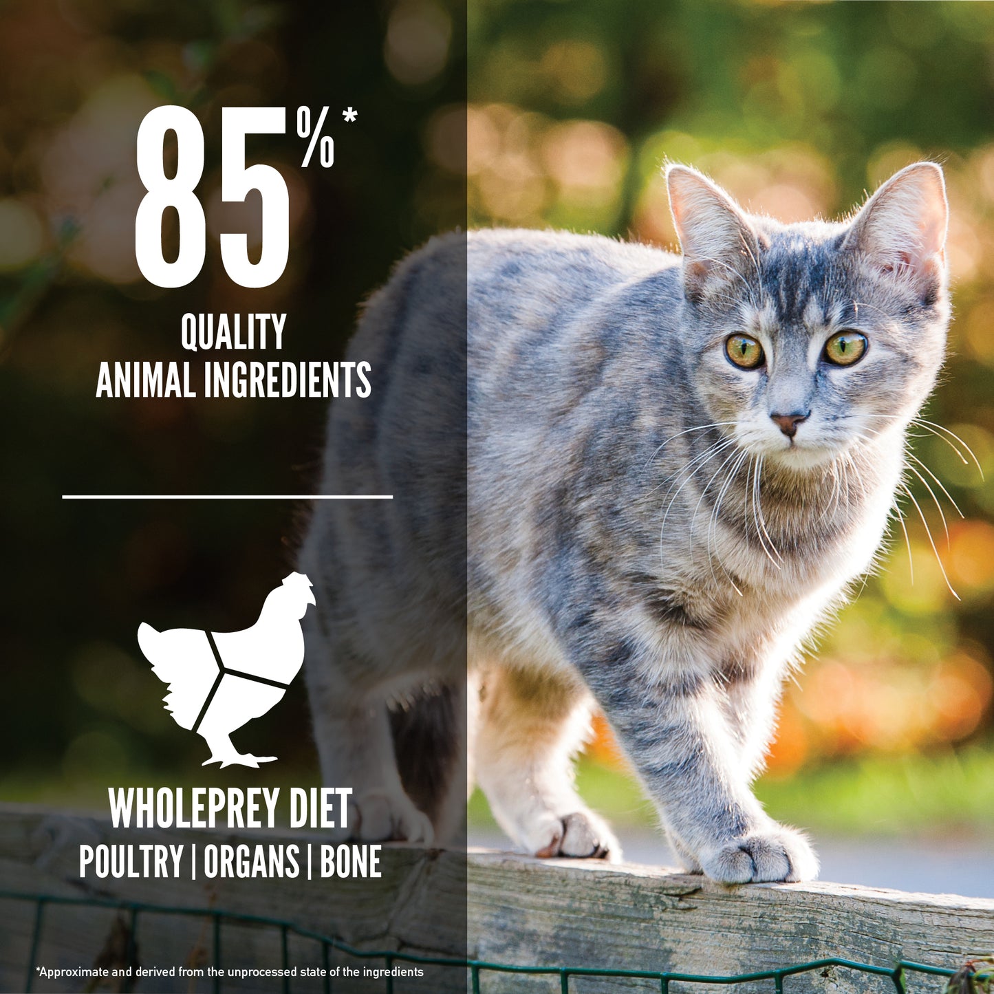 ORIJEN Original Dry Cat Food (2 Sizes)