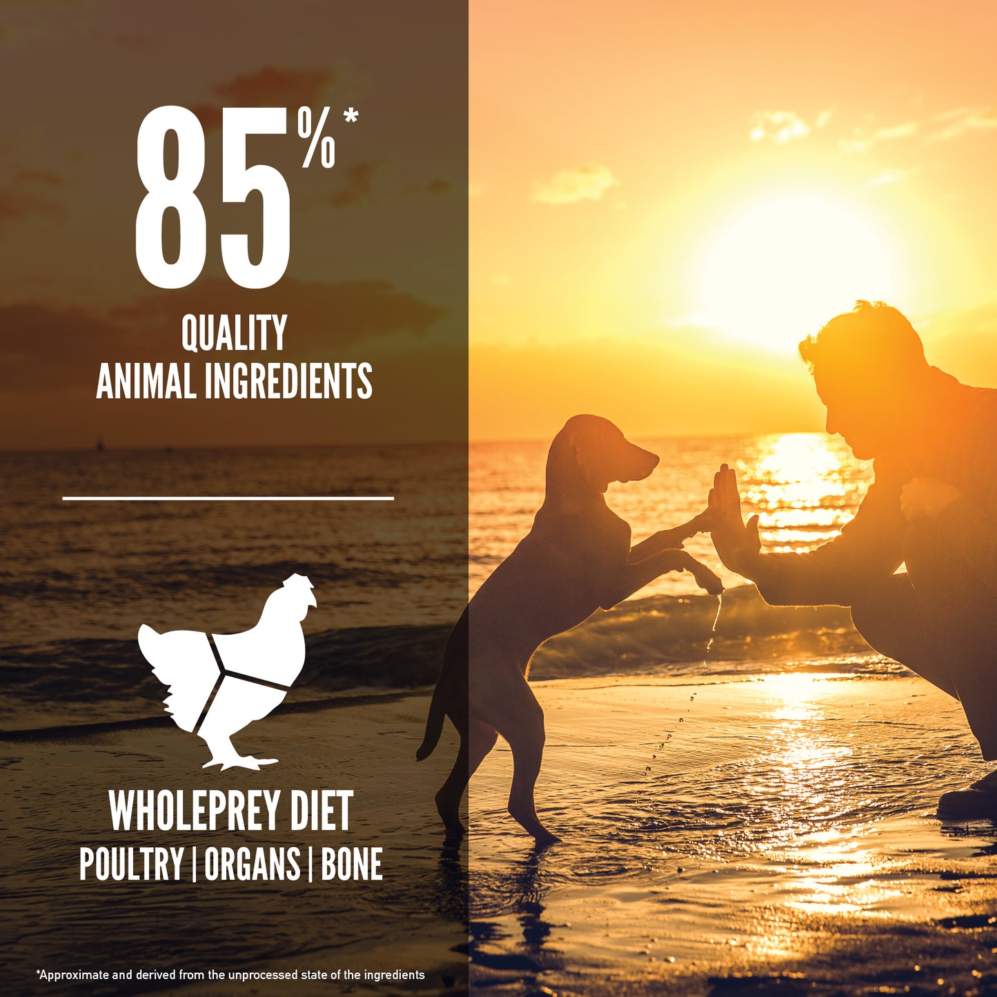 ORIJEN Puppy Dry Dog Food (3 Sizes)