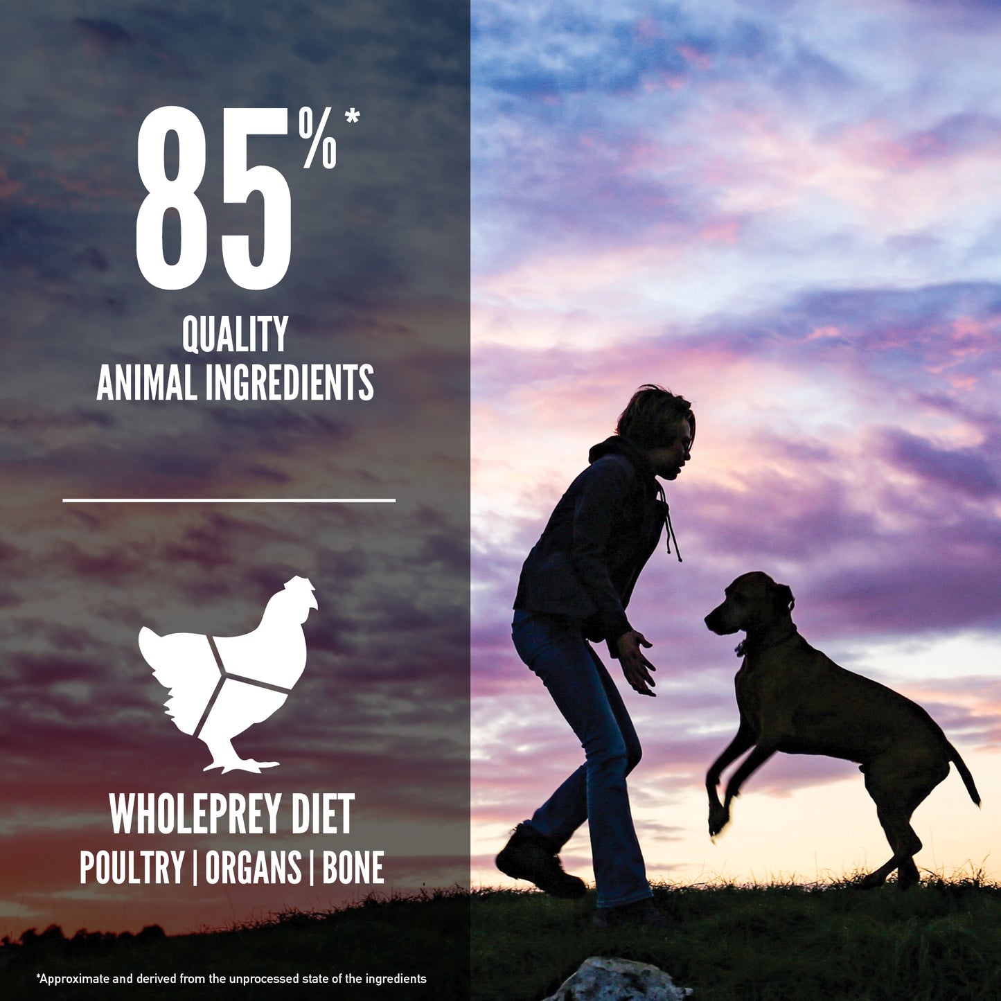 ORIJEN Large Breed Puppy Dry Dog Food 11.4kg