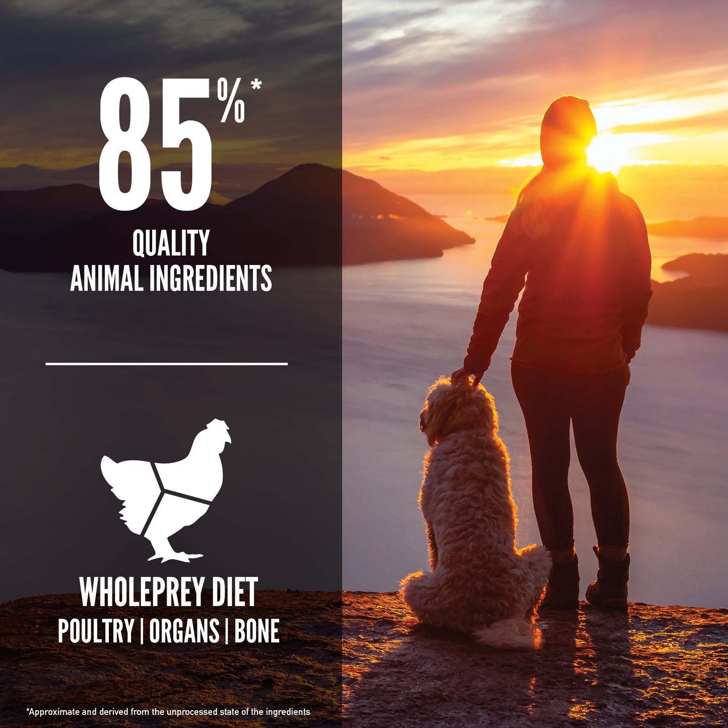 ORIJEN Senior Dry Dog Food (3 Sizes)