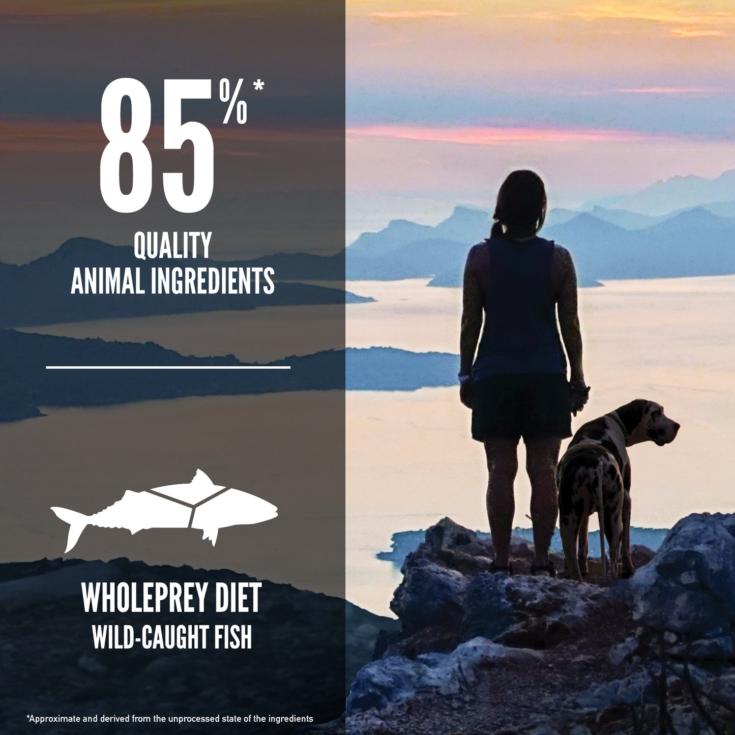 ORIJEN Six Fish Dry Dog Food (3 Sizes)