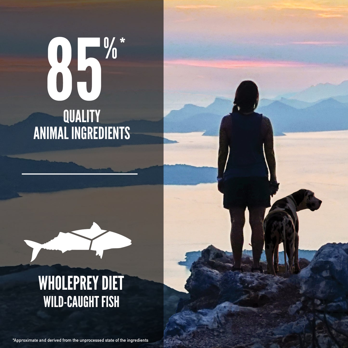[EXTRA 10% OFF] ORIJEN Six Fish Dry Dog Food (3 Sizes)