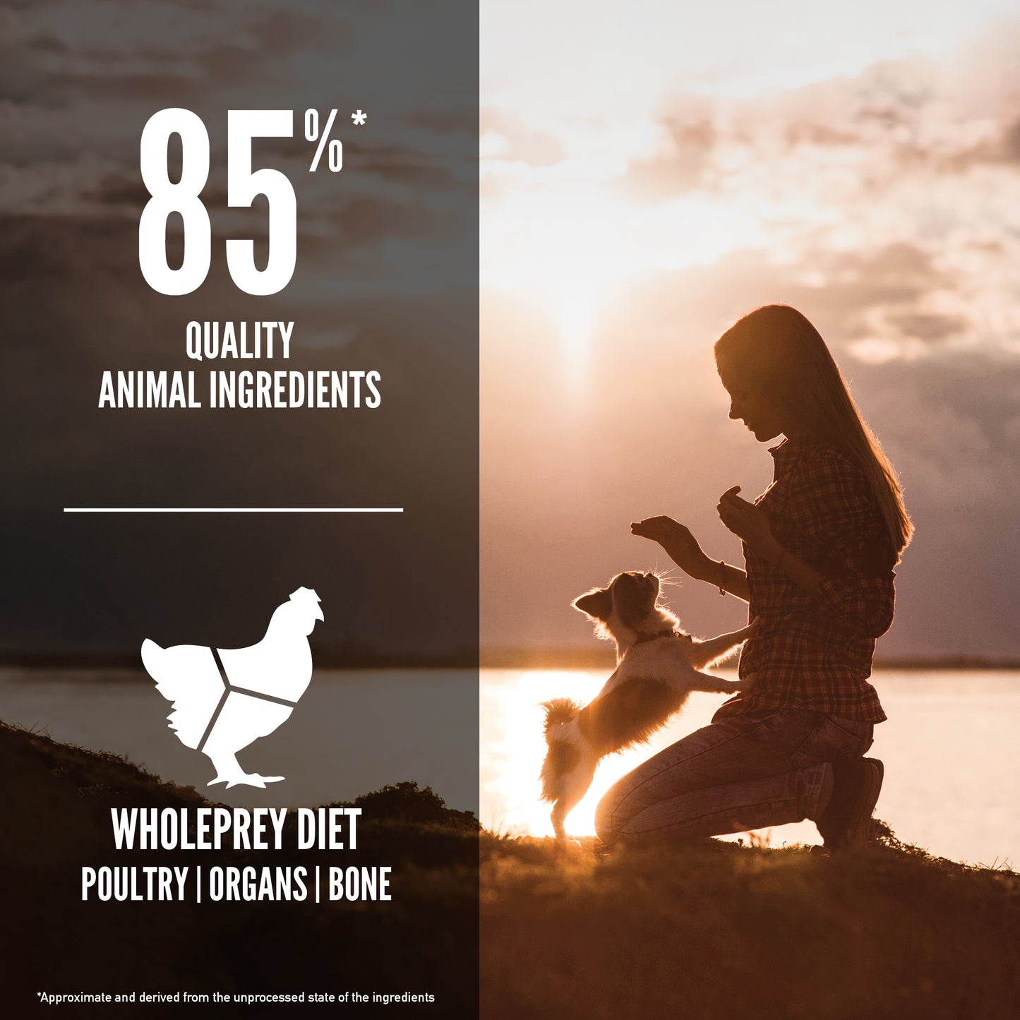 ORIJEN Small Breed Dry Dog Food (2 Sizes)
