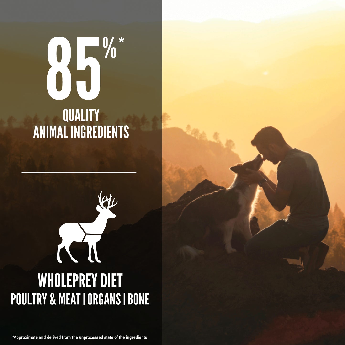 ORIJEN Tundra Dry Dog Food (3 Sizes)