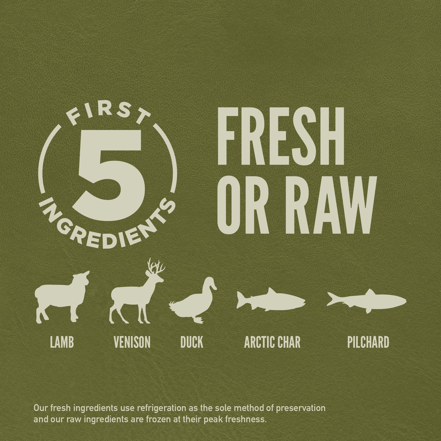 ORIJEN Tundra Dry Dog Food (3 Sizes)