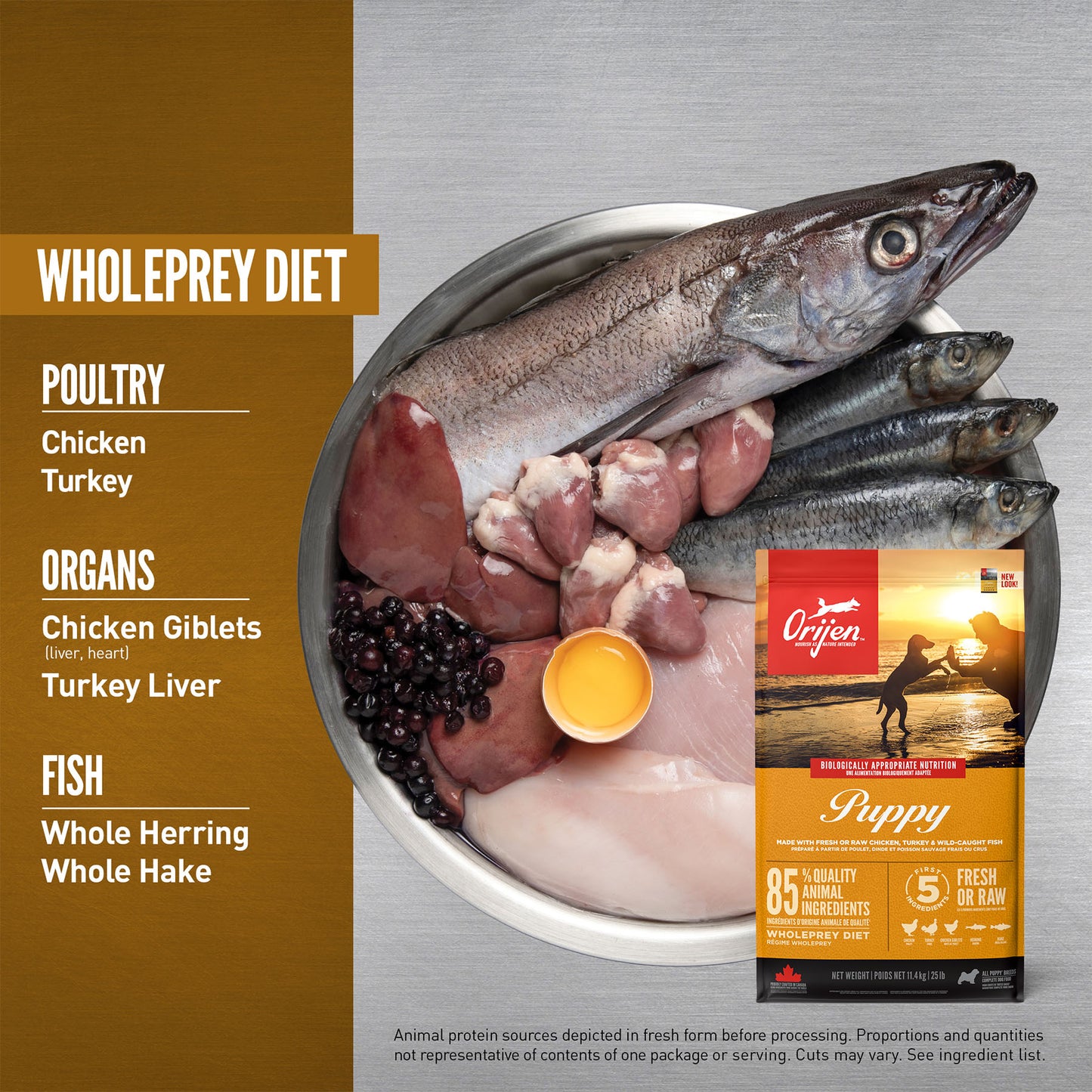ORIJEN Puppy Dry Dog Food (3 Sizes)