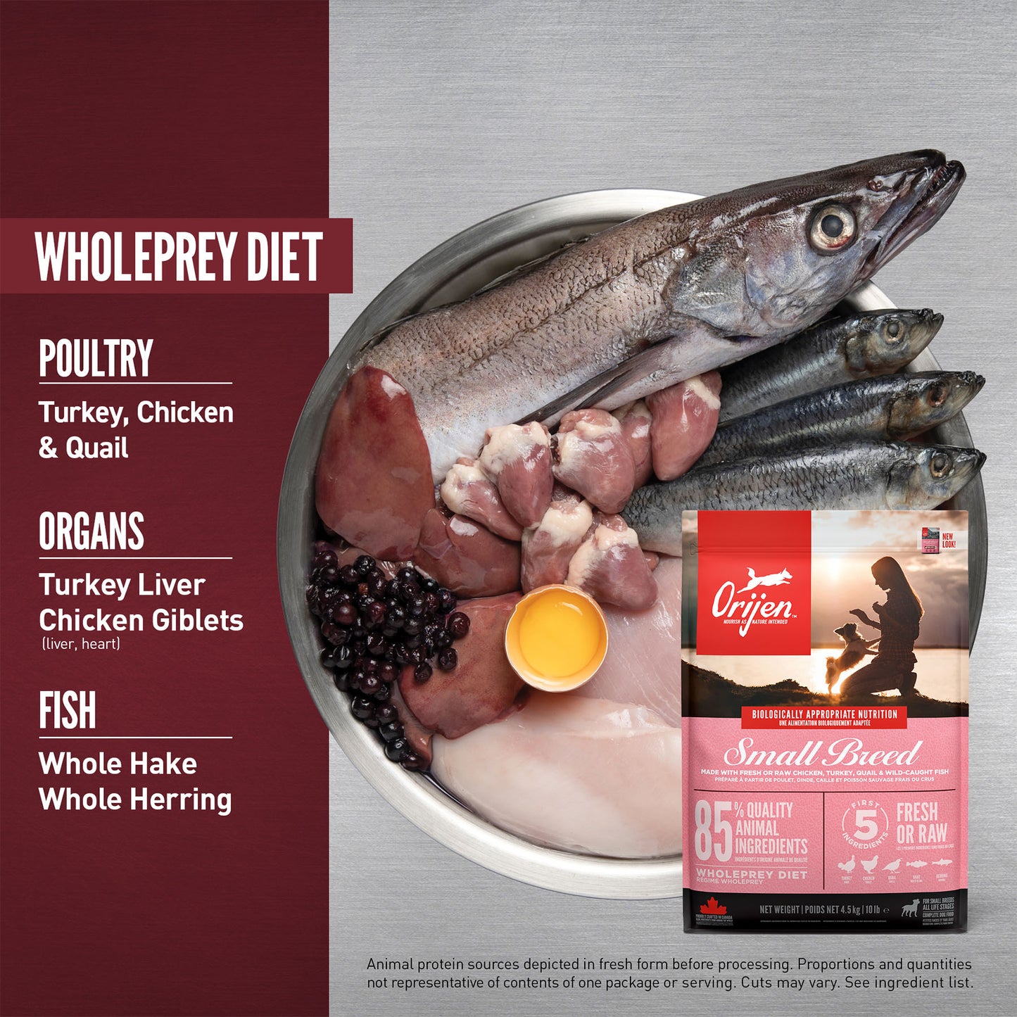 ORIJEN Small Breed Dry Dog Food (2 Sizes)