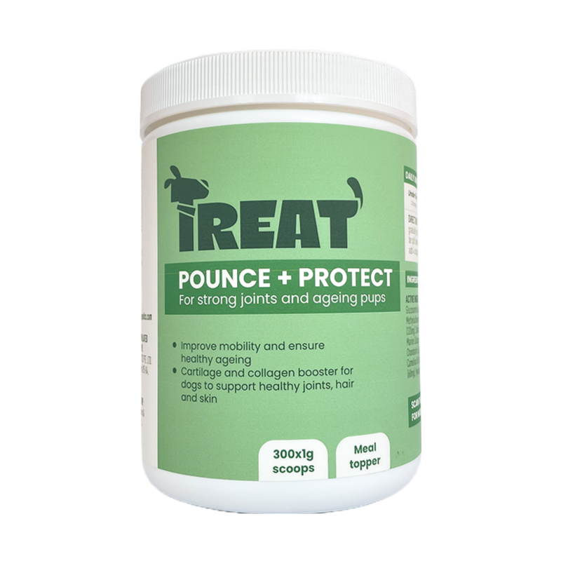 Treat Therapeutics Pounce + Protect Joint Dog Supplement 300g