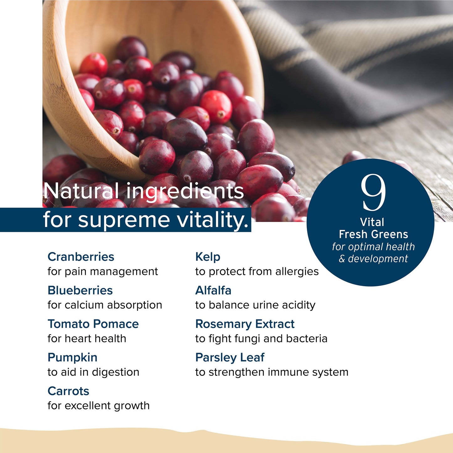 Nurture Pro Love Salmon & Fish Oil Recipe for Adult Dog Dry Food (3 Sizes)