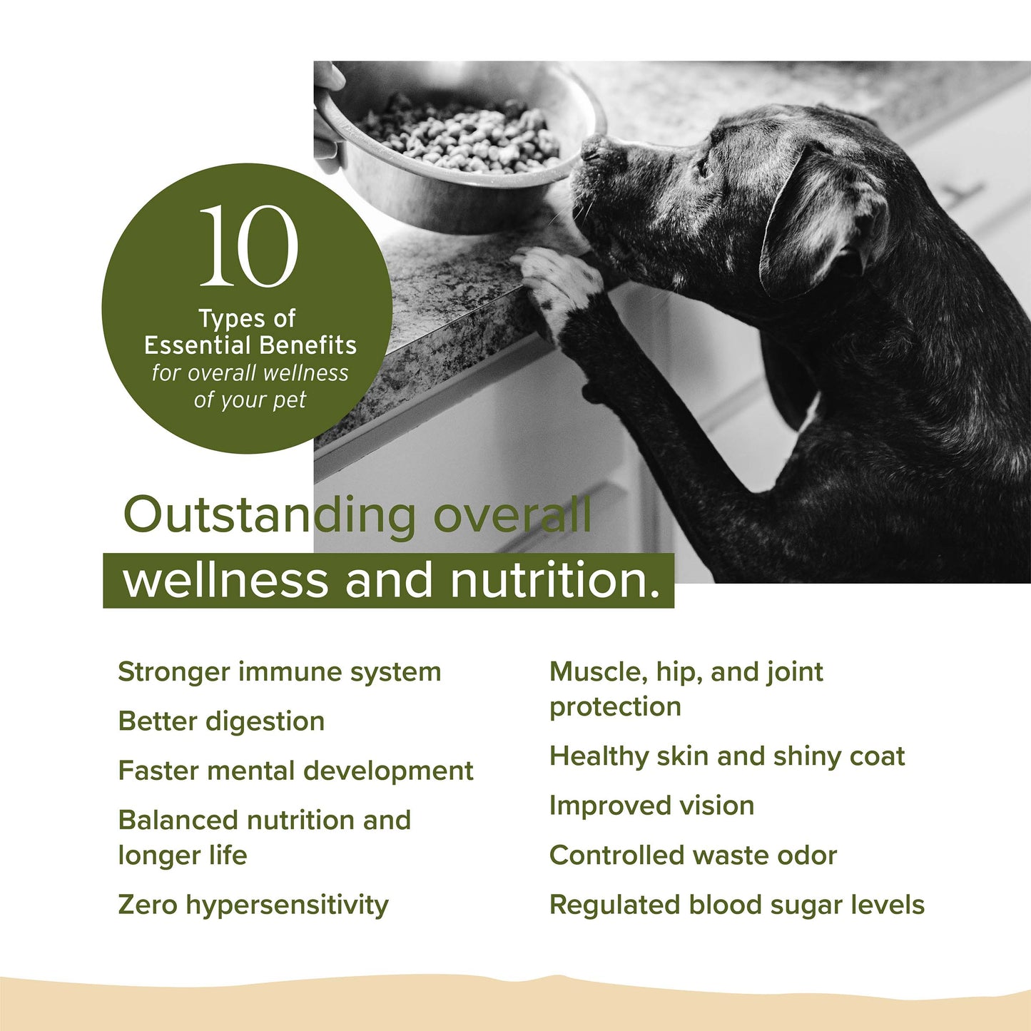 Nurture Pro Care Chicken & Fish Oil Recipe for Adult Dog Dry Food (3 Sizes)