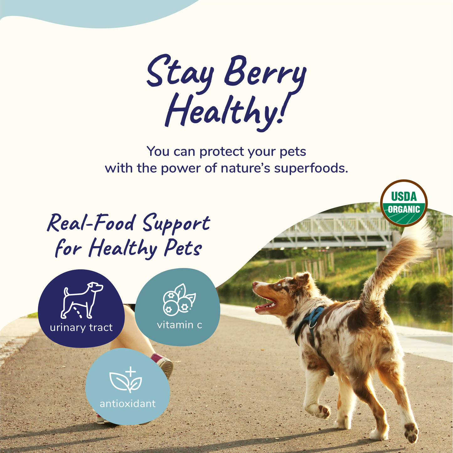 Kin+Kind Organic Healthy Immunity Supplement for Dogs & Cats (2 Sizes)