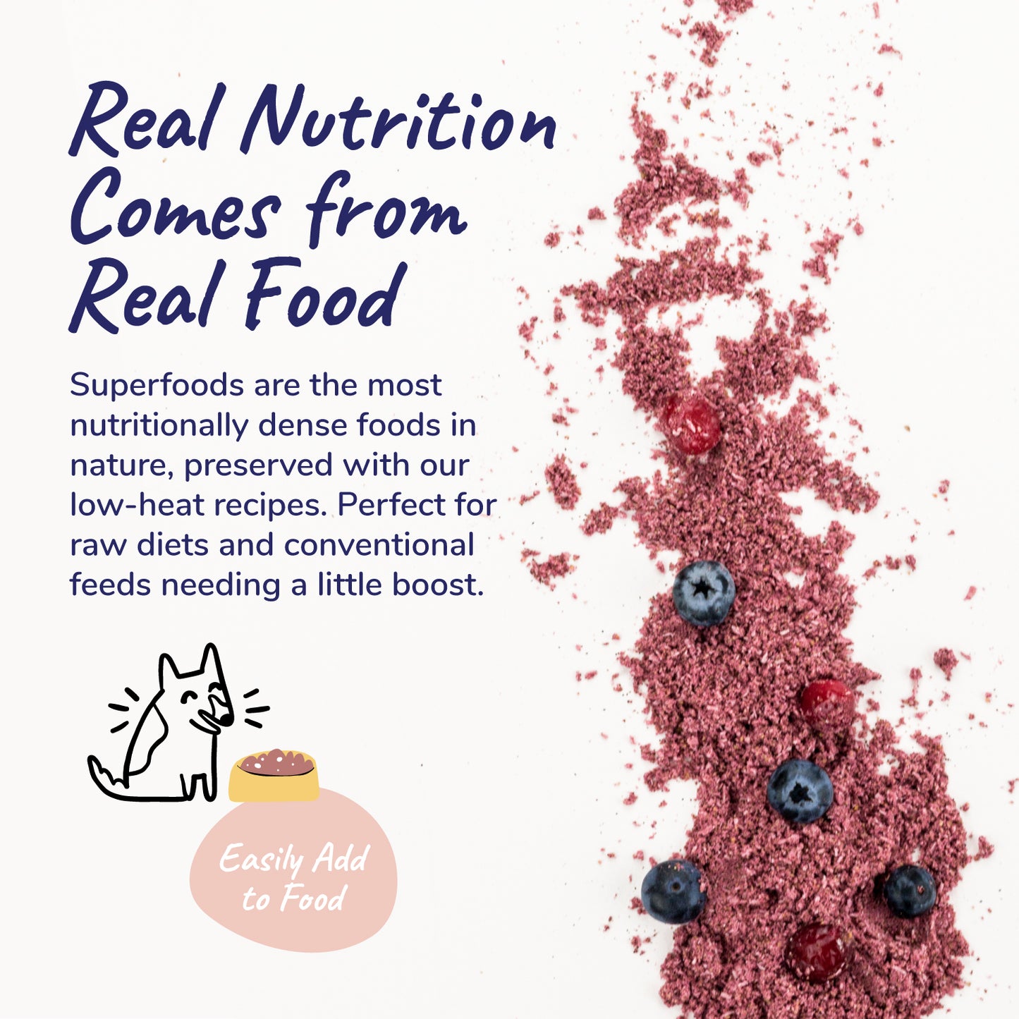 Kin+Kind Organic Healthy Immunity Supplement for Dogs & Cats (2 Sizes)