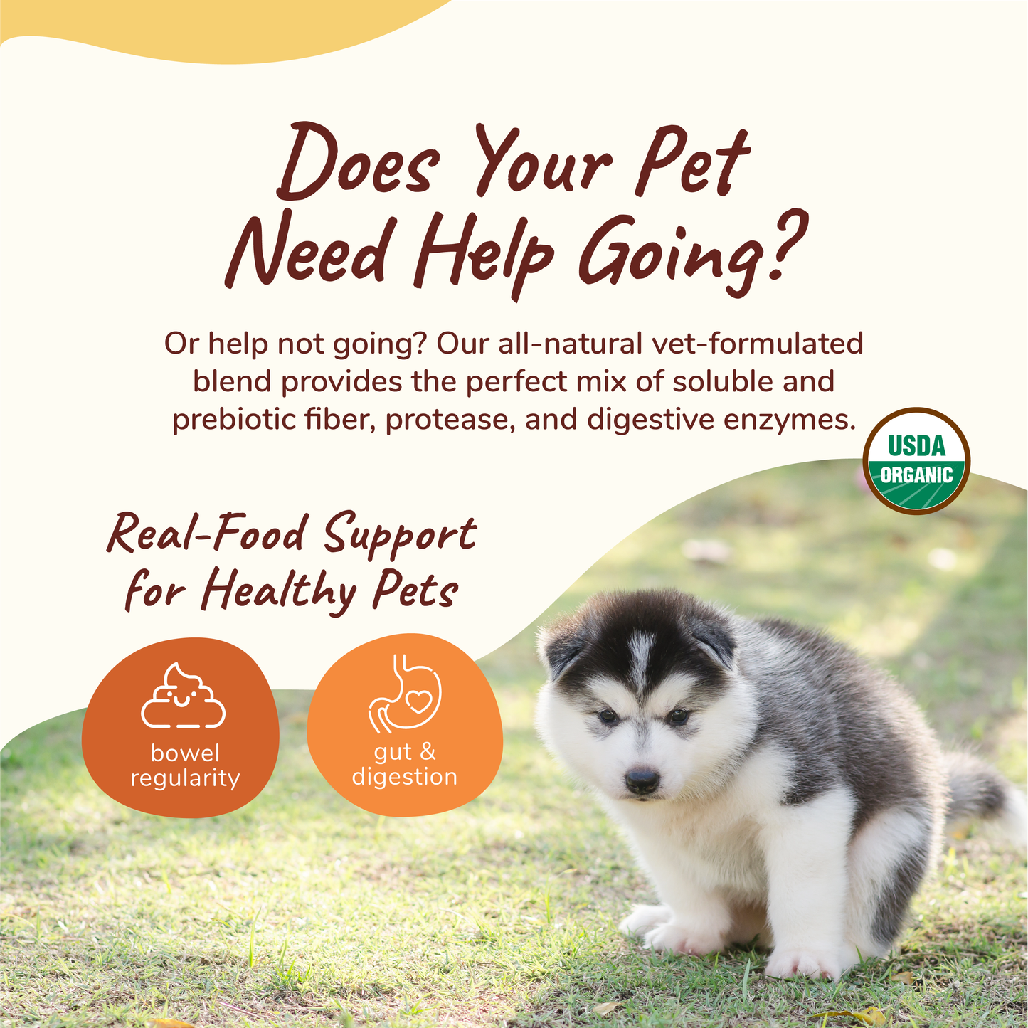Kin+Kind Organic Healthy Poops Supplement for Dogs & Cats (2 Sizes)