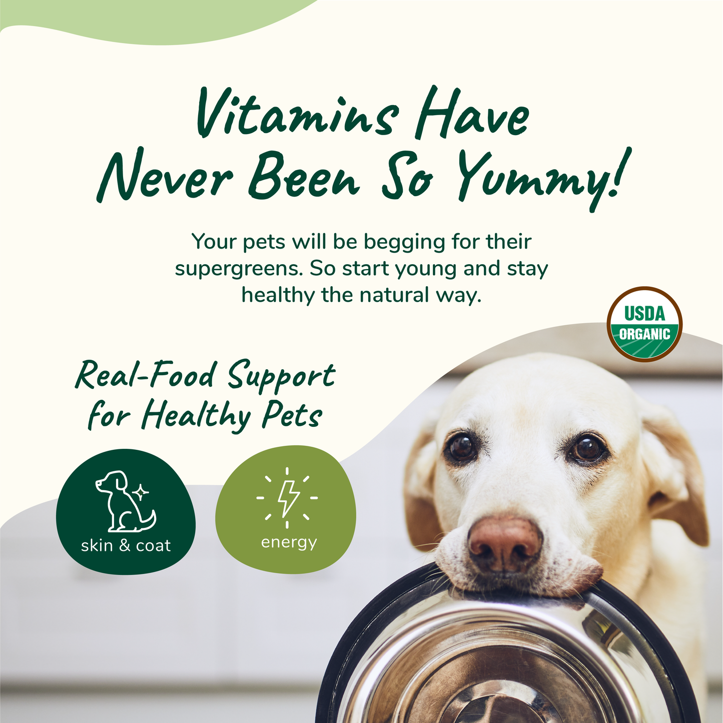 Kin+Kind Organic Healthy Skin & Coat Supplement for Dogs & Cats (2 Sizes)