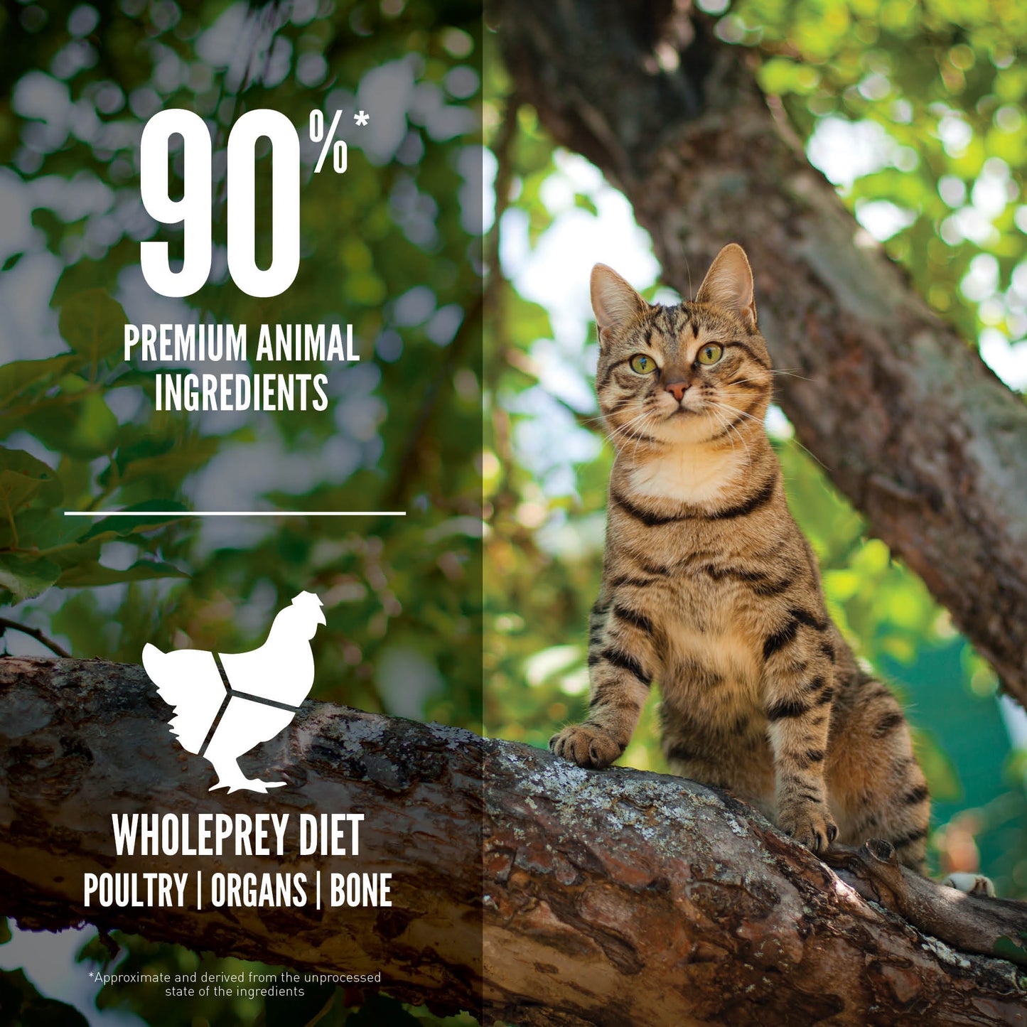 [EXTRA 5% OFF + FREE 340g of Kibbles] ORIJEN Guardian 8 Dry Cat Food (2 Sizes)