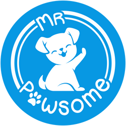 Fuzzyard Dog Collar (Fresh Kicks) | Mr Pawsome Pte Ltd