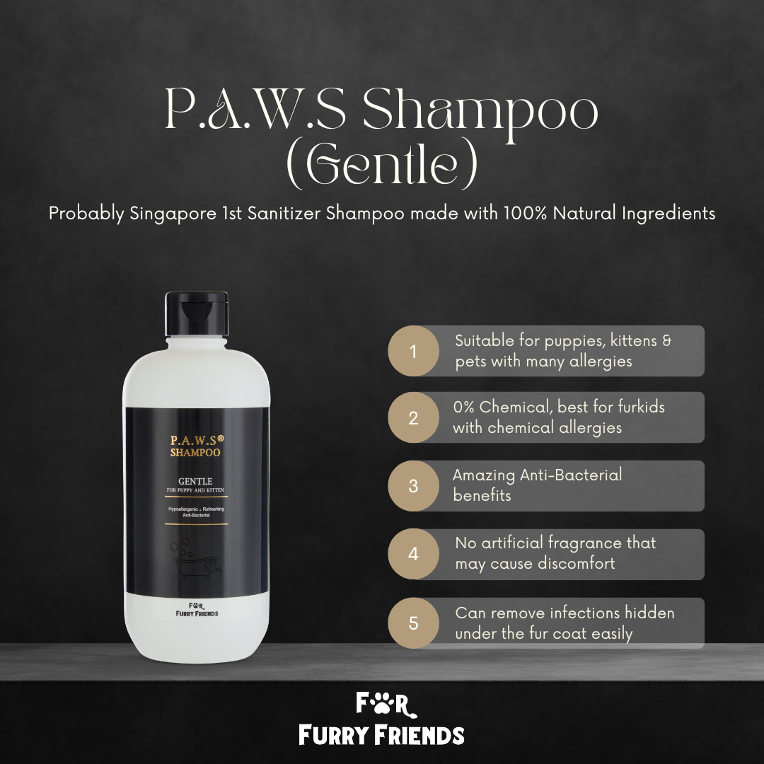 [Bundle Deal] For Furry Friends P.A.W.S Gentle Shampoo 500ml