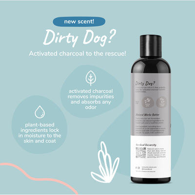 Kin+Kind Charcoal Deep Clean Natural Shampoo for Dogs (Patchouli) 12oz