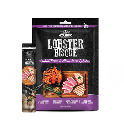 [As Low As $3.80 Each] Absolute Holistic Lobster Bisque (Wild Tuna & Mountain Lobster) Cat & Dog Treats 60g