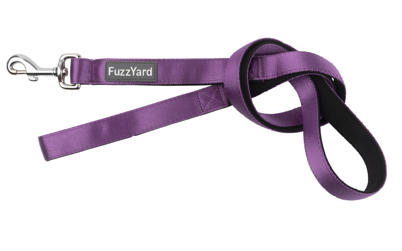 FuzzYard Dog Lead (Grape)