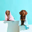 FuzzYard Pink with Grey Trim Microfibre Towel for Dogs