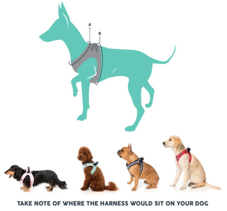 Fuzzyard Step-in Dog Harness (Go Nuts)