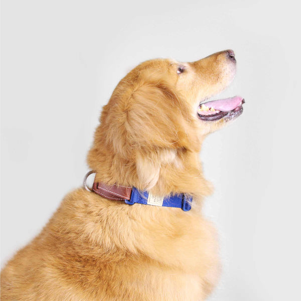 Sputnik Blue Nylon Dog Collar